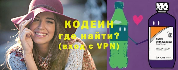 шишки Бикин