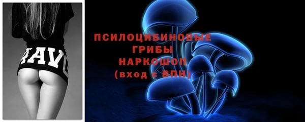 прущая мука Нея