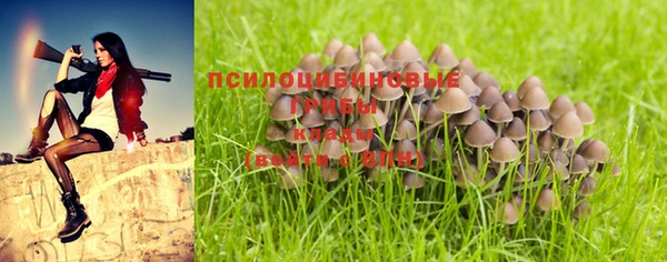 прущая мука Нея